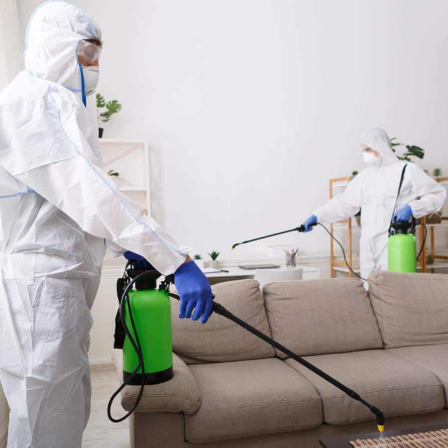 Coronavirus Home Disinfection Services